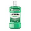 LISTERINE - Collutorio Difesa Denti e Gengive - 500ml