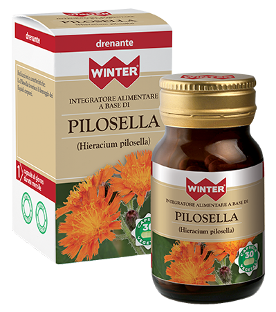 WINTER Pilosella - 30 capsule vegetali