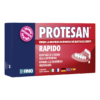 Protesan