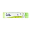 Arnica Montana 5 ch Granuli - 4g