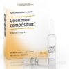 Heel Coenzyme Compositum - 10 fiale