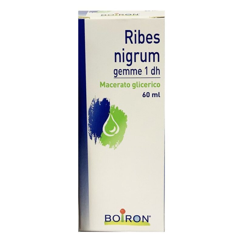 Ribes Nigrum Gemme 1 dh - 60ml